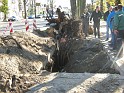 Kabelstoring asd-oost door bomen zagen